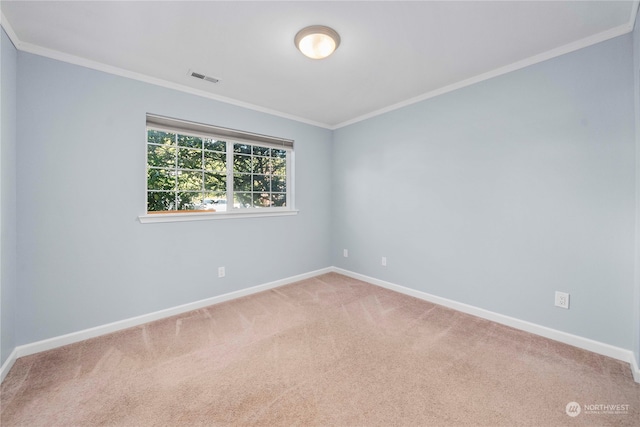 spare room with crown molding and carpet flooring