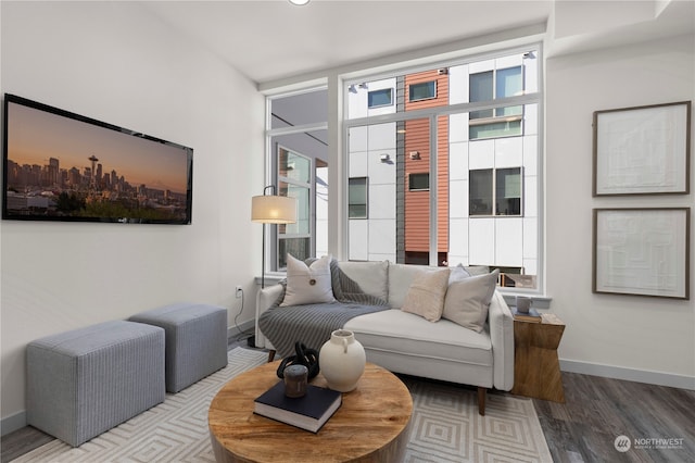 living room with hardwood / wood-style floors and plenty of natural light