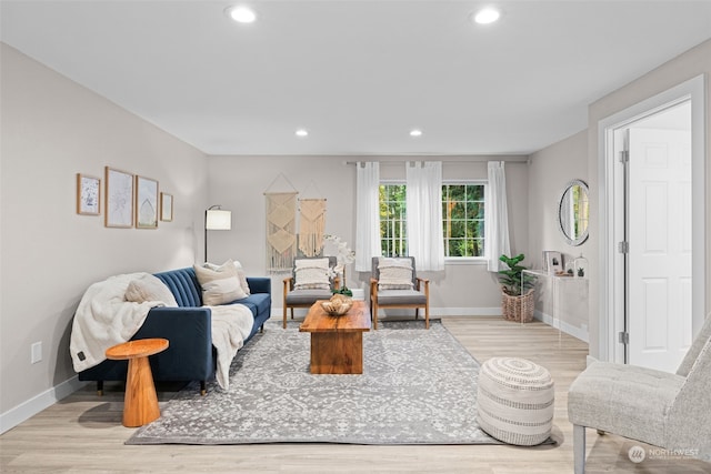 living room featuring light hardwood / wood-style floors