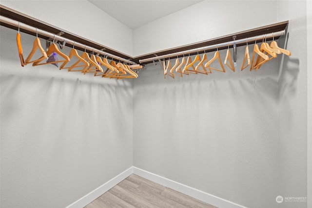 walk in closet featuring wood-type flooring