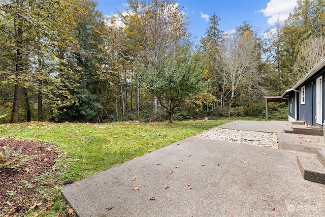 view of yard featuring a patio area