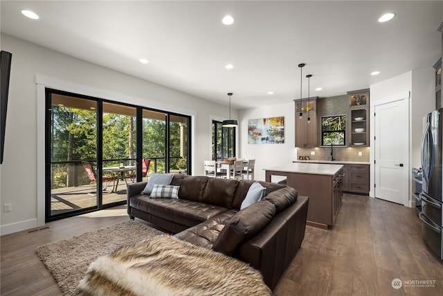 living room featuring sink and hardwood / wood-style flooring