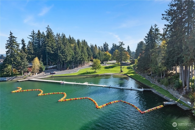 view of property's community with a water view