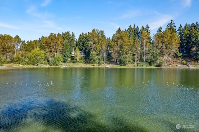 property view of water