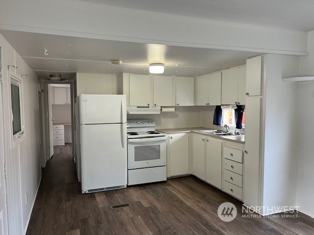 105 Cox Unit 12, Arlington, WA 98223 - kitchen with white appliances, exhaust hood, dark wood-style flooring, light countertops, and a sink