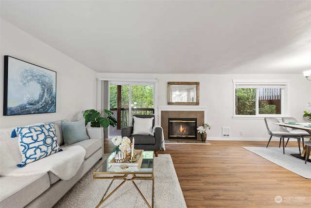 living room featuring a healthy amount of sunlight, hardwood / wood-style flooring, and a tile fireplace