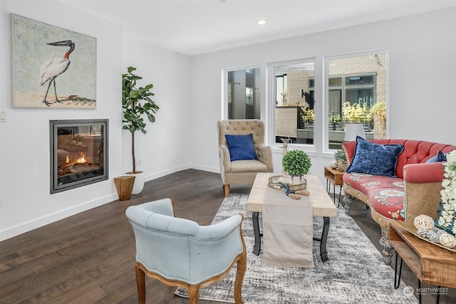 living room with dark wood-type flooring