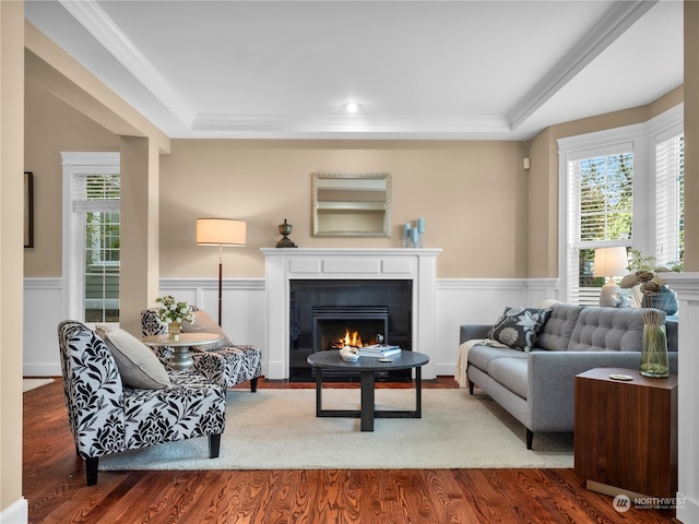 living room featuring a tiled fireplace, wood-type flooring, and a tray ceiling