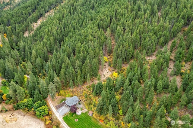 456 Hinthorne Ln, Leavenworth, WA 98826 - view of subject property with a heavily wooded area