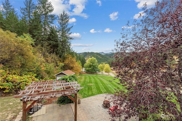 456 Hinthorne Ln, Leavenworth, WA 98826 - view of grassy yard featuring a patio