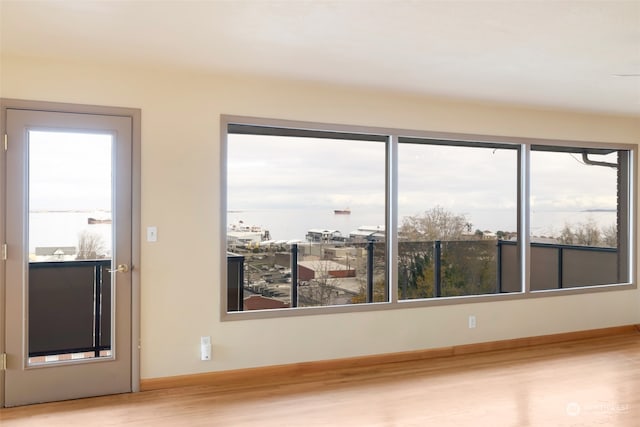 empty room featuring light hardwood / wood-style floors and plenty of natural light