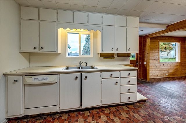 kitchen with sink, dishwasher, plenty of natural light, and wood walls