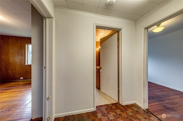 hallway with wood walls and dark hardwood / wood-style floors