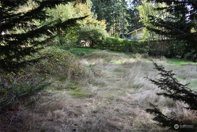 3411 W Tapps Dr E, Lake Tapps, WA 98391