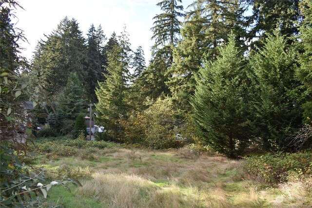 3411 W Tapps Dr E, Lake Tapps, WA 98391