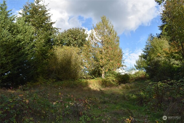 3411 W Tapps Dr E, Lake Tapps, WA 98391