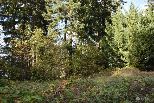3411 W Tapps Dr E, Lake Tapps, WA 98391