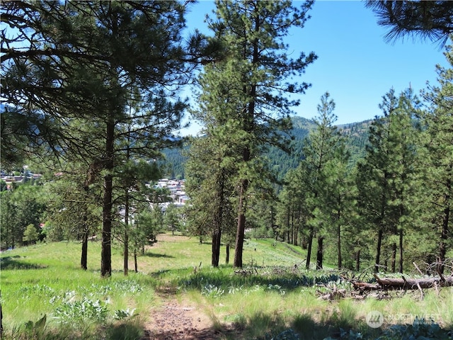 0TBD N Keller St, Republic WA, 99166 land for sale