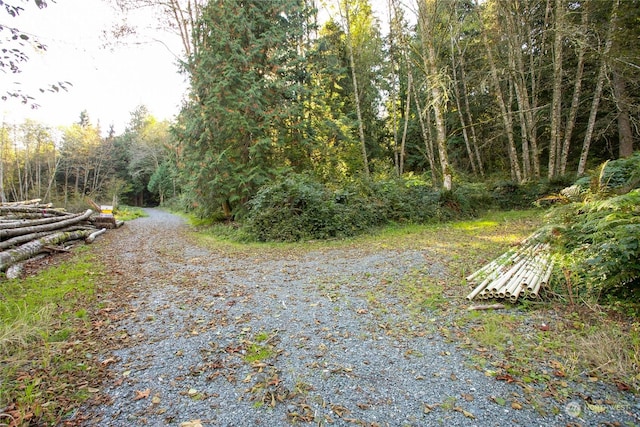 589 Samish Springs Dr, Bellingham, WA 98229 - photo 4