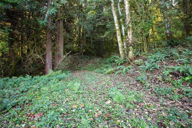 589 Samish Springs Dr, Bellingham, WA 98229 - photo 7