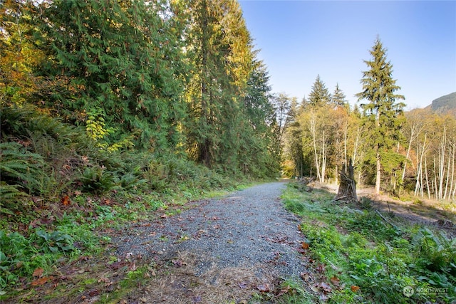589 Samish Springs Dr, Bellingham, WA 98229 - photo 8