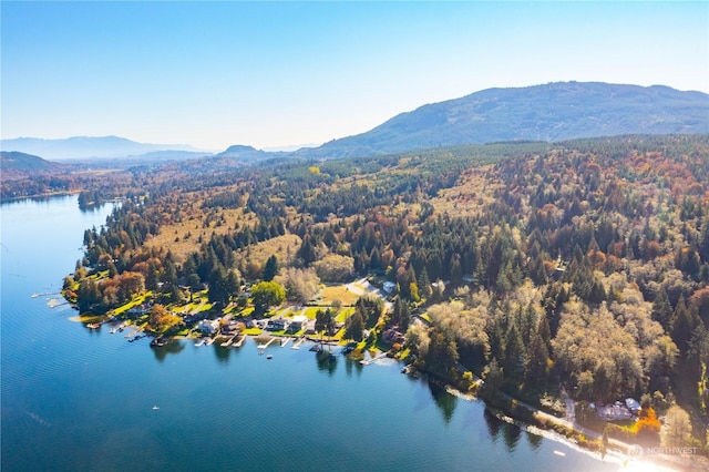 589 Samish Springs Dr, Bellingham, WA 98229 - photo 15