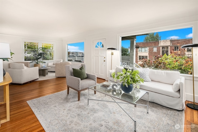 living room with hardwood / wood-style floors