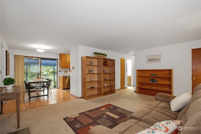 living room with light wood-type flooring