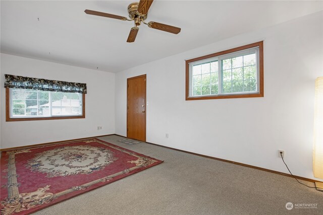 unfurnished room featuring ceiling fan, carpet, and a wealth of natural light