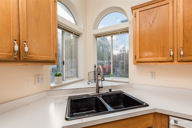 kitchen featuring sink and dishwasher