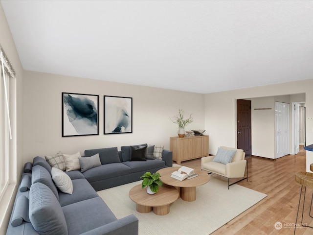 living room with wood-type flooring