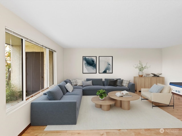 living room featuring plenty of natural light and hardwood / wood-style floors