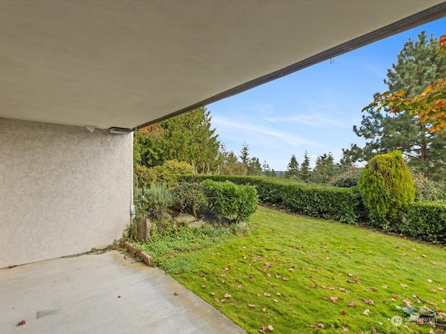 view of yard featuring a patio area