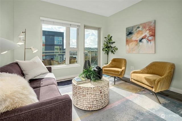 sitting room featuring hardwood / wood-style flooring