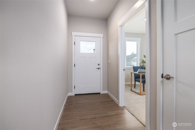 doorway with wood-type flooring