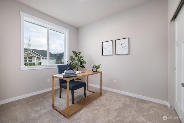 carpeted office with a wealth of natural light