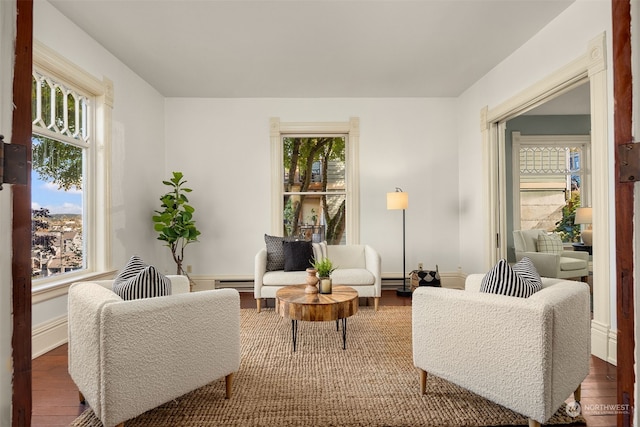 living room with dark hardwood / wood-style floors