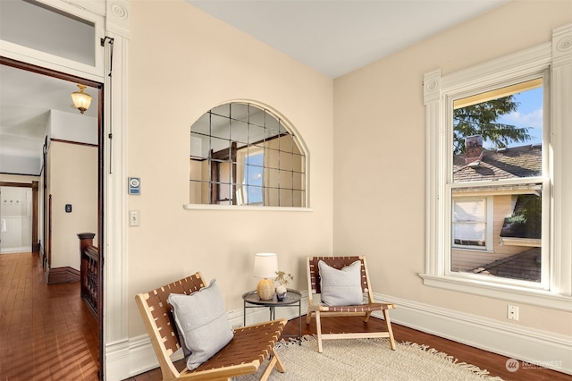 sitting room featuring dark wood-type flooring