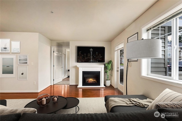 living room featuring wood-type flooring