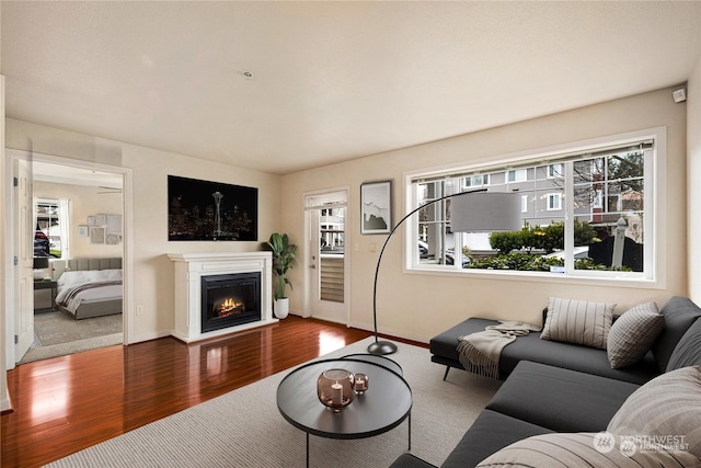 living room with wood-type flooring