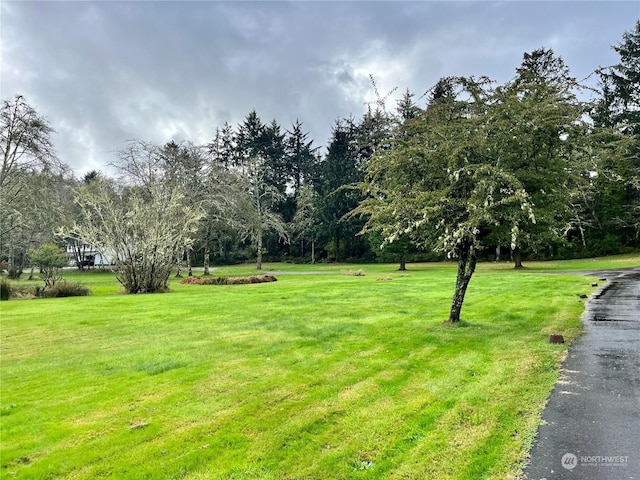 1050 Summers Ln, Grayland, WA 98547 - photo 6