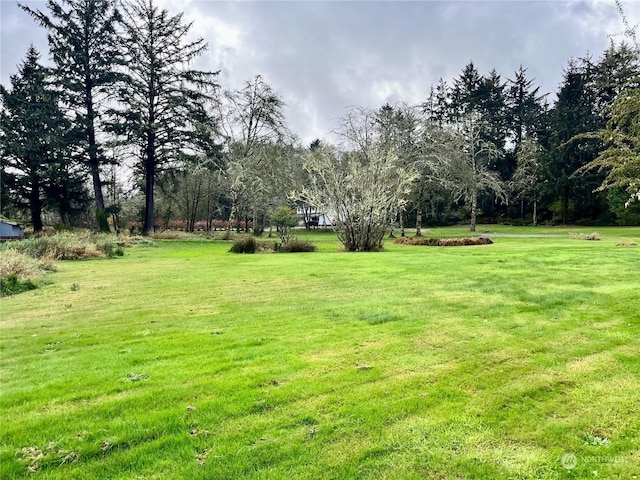 1050 Summers Ln, Grayland, WA 98547 - photo 8