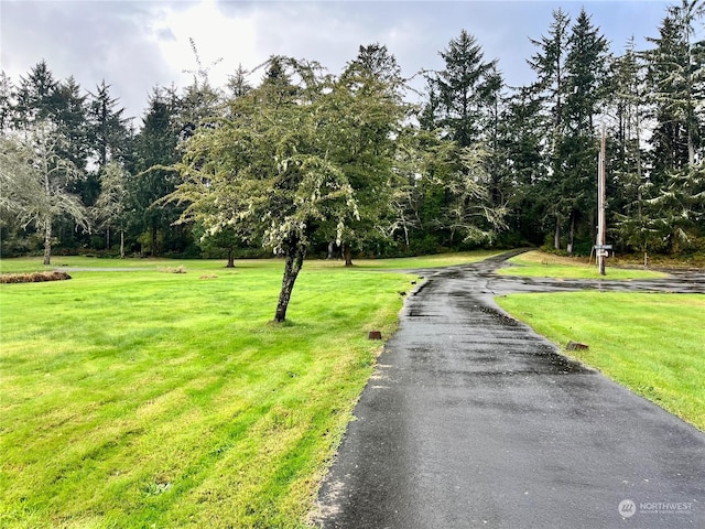 1050 Summers Ln, Grayland, WA 98547 - photo 9