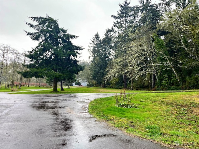 1050 Summers Ln, Grayland, WA 98547 - photo 10