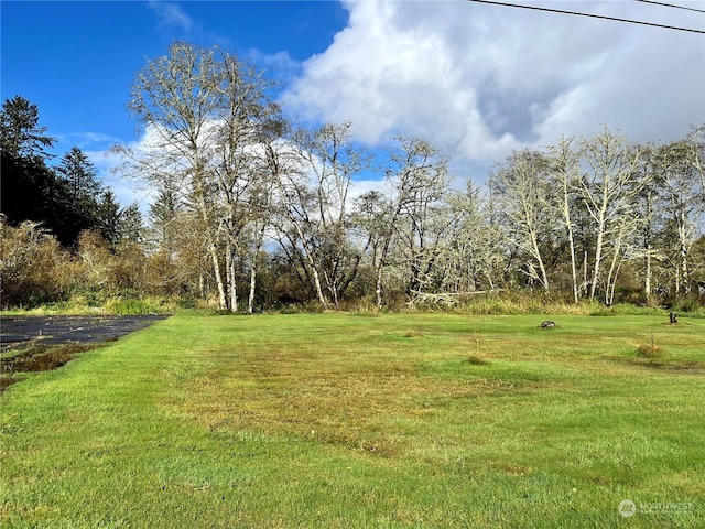1050 Summers Ln, Grayland, WA 98547 - photo 12