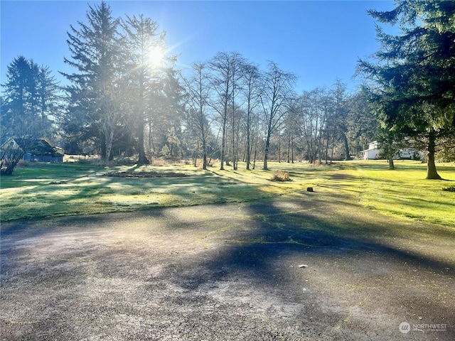 1050 Summers Ln, Grayland, WA 98547 - photo 23