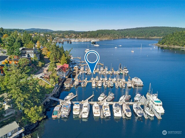 620 Warbass Way Unit 27, Friday Harbor, WA 98250 - drone / aerial view with a water view and a view of trees
