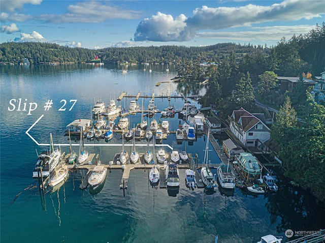 620 Warbass Way Unit 27, Friday Harbor, WA 98250 - bird's eye view featuring a water view and a view of trees