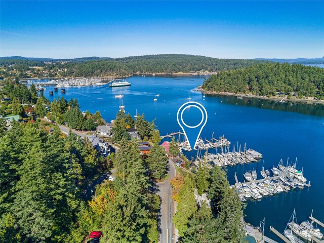 620 Warbass Way Unit 27, Friday Harbor, WA 98250 - drone / aerial view with a water view and a view of trees