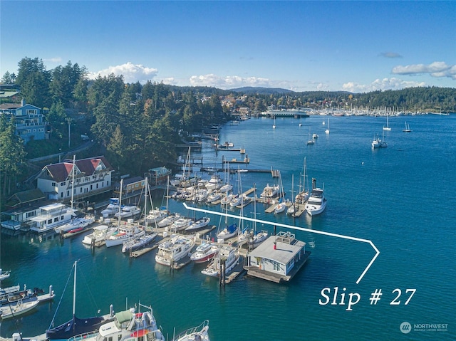 620 Warbass Way Unit 27, Friday Harbor, WA 98250 - water view